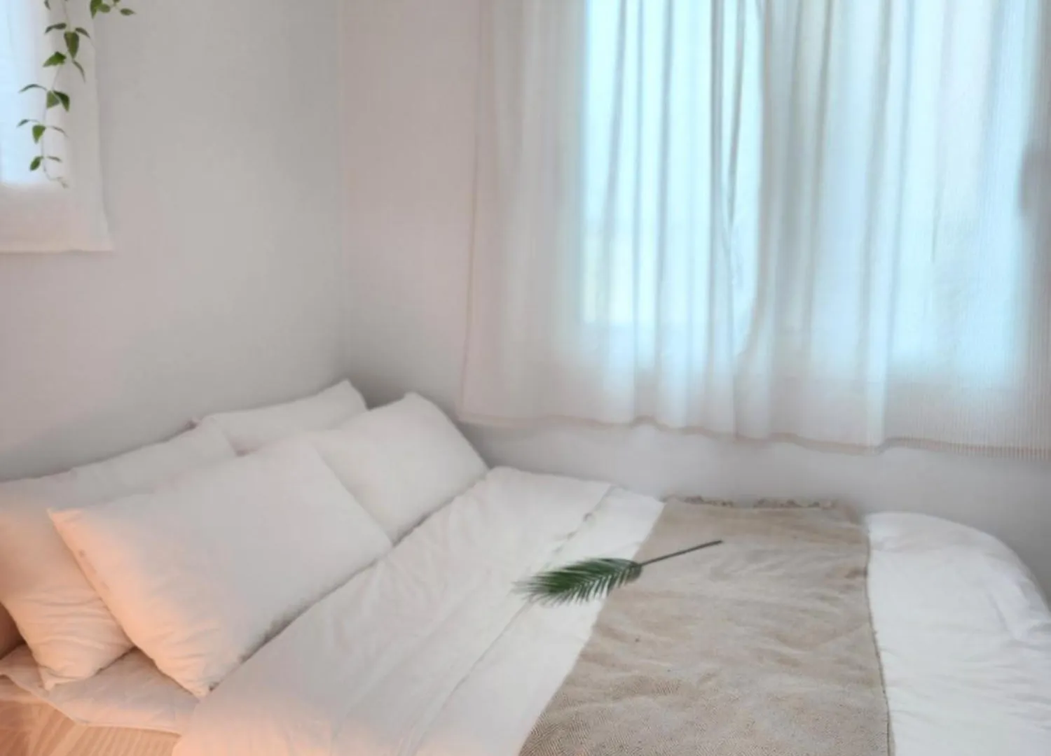 Home Woodsage Seúl 0*,